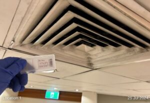 Mould Removal in Sydney, Australia