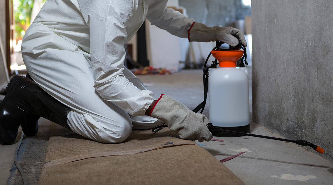 Expert environmental consulting services