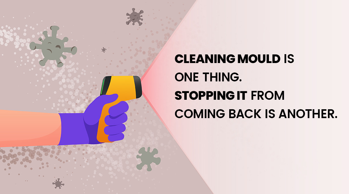 4 Reasons Why Mould Keeps Coming Back and How to Fix Them